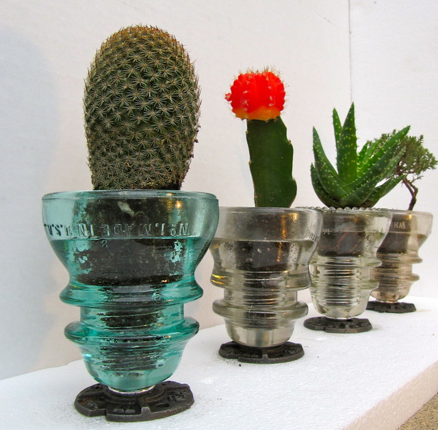 Countertop Insulator Planters Eclectic Plants san francisco by