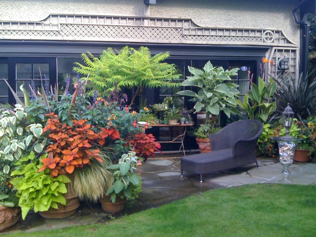 Tropical Container Garden Design