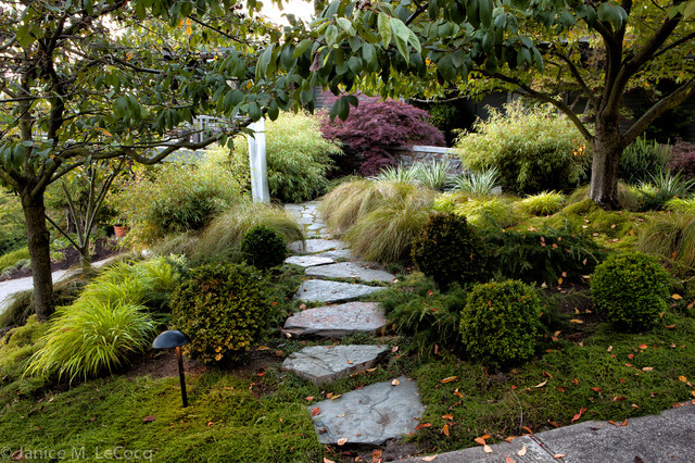 Pacific Northwest Hillside Garden - Traditional - Landscape - other ...