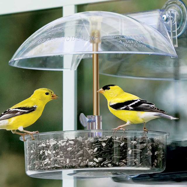 Winner Window Bird Feeder - Contemporary - Bird Feeders - by 