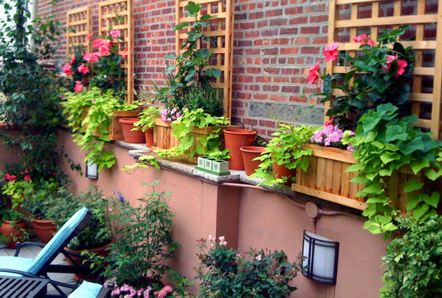 Village Terrace Design: Roof Garden, Planter Boxes, Vines, Brick ...
