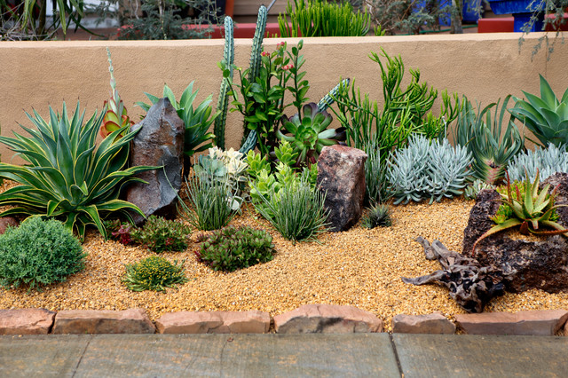 Frontyard Landscape Ideas - Succulent Gardens Design - Southwestern ...