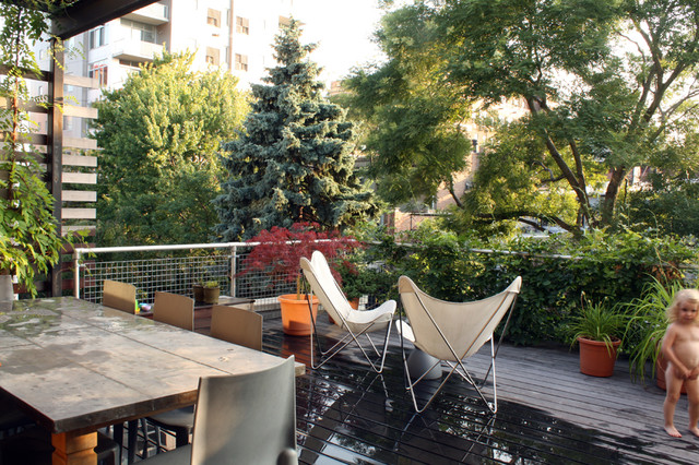 Deck - Treehouse modern deck