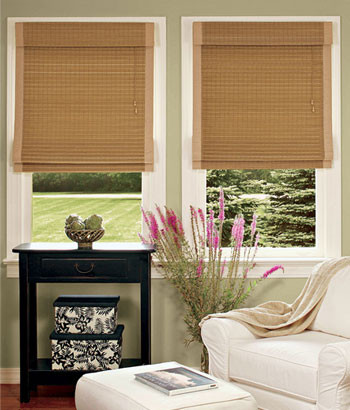 Roman Shades Bamboo Insulated Roman Shade - traditional - window ...