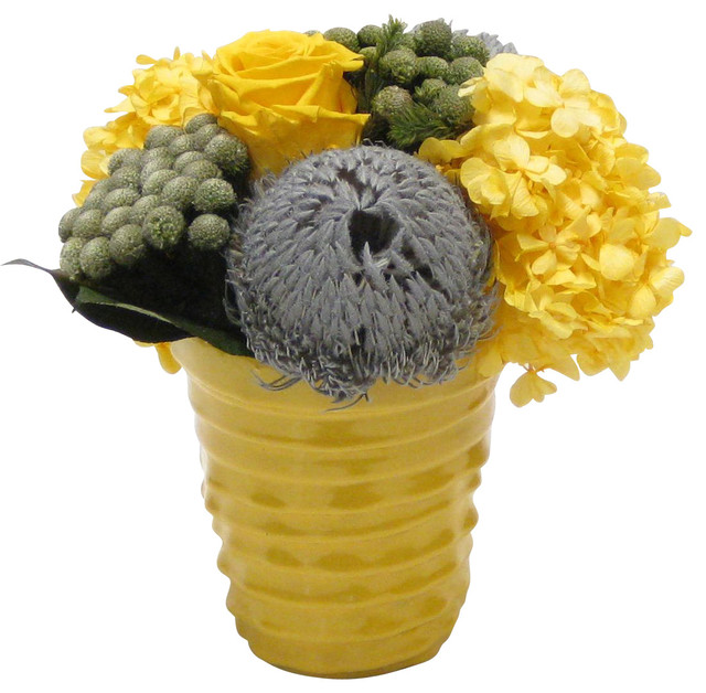 Yellow Ceramic Vase, Gray Banksia, Brunia and Yellow Hydrangea