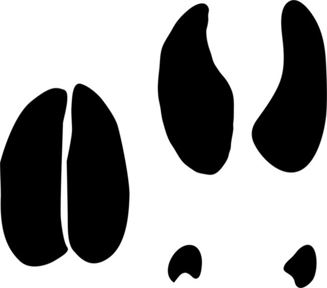 Deer Animal Tracks Stencil - Rustic - Wall Stencils - by Stencil Ease