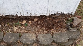 Fixing a Garden Bed That Is Rotting A Shed - Siding, Joists, Moisture