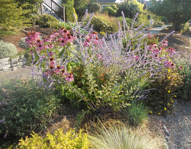 Borders and Containers eclectic-landscape