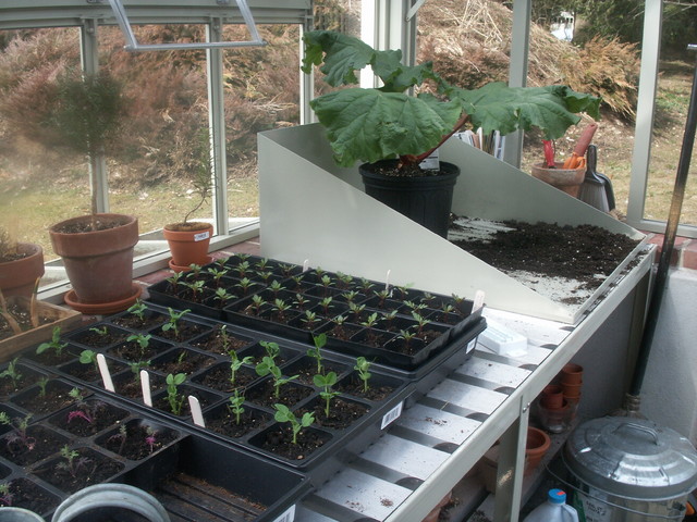 traditional greenhouses traditional glasshouses traditional-greenhouses