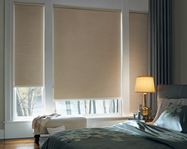 Designer Roller Shades With Continuous Cord Loop - Contemporary 