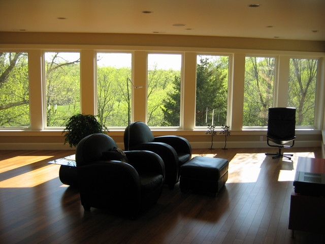 Windows contemporary living room