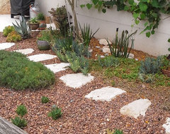 Grow a Garden of Succulents for Easy Beauty