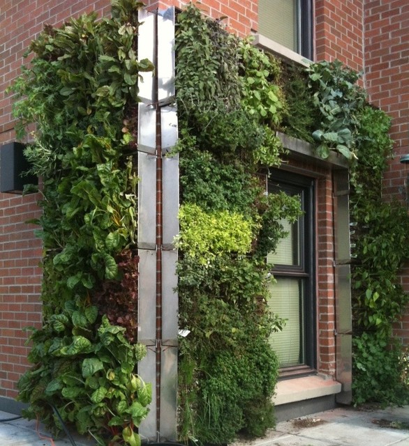 Green Roofs and living Walls tropical-exterior