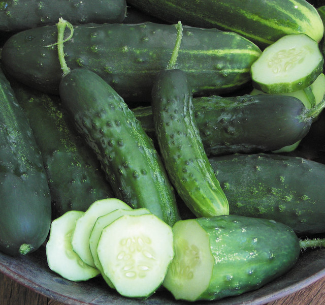 WarmSeason Vegetables How to Grow Cucumbers by