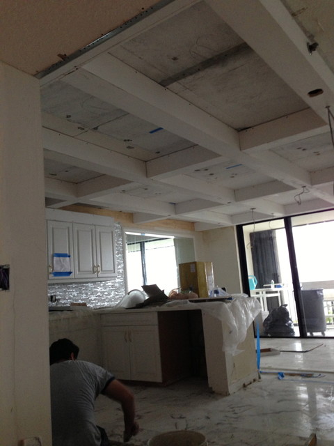 Kitchen & Living Room Renovation #19750 contemporary-