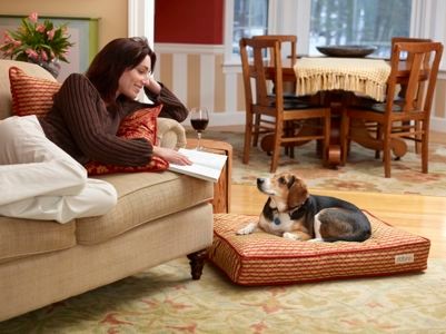 rating pet-friendly decor, pet gear that works with your decor, Dog bed in same fabric as pillow on sofa - pet-friendly decor