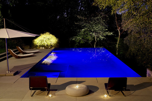 modern pool gardening outdoor