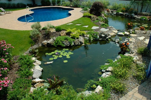 Pond Landscape Design