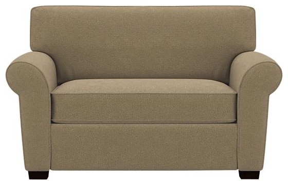 Carlton Twin Sleeper Sofa modern-sofa-beds