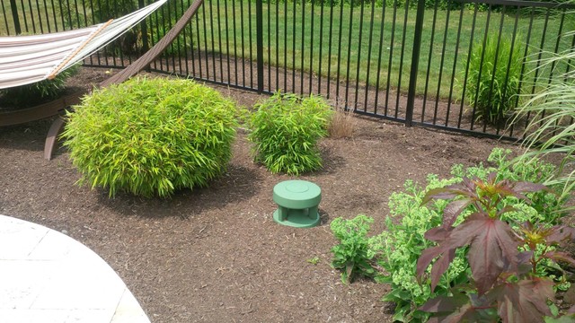 Outdoor Oasis traditional
