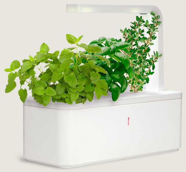 indoor herb planters – voqalmedia indoor herb planters – voqalmedia