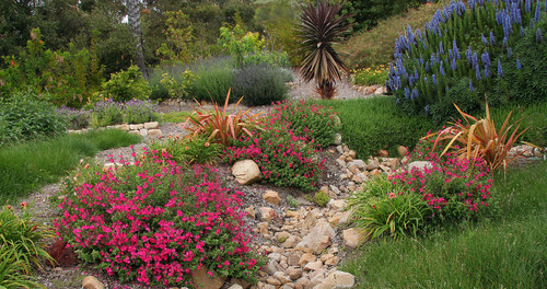Mediterranean Landscape by Santa Barbara Landscape Architects & Landscape Designers Donna Lynn - Landscape Designer