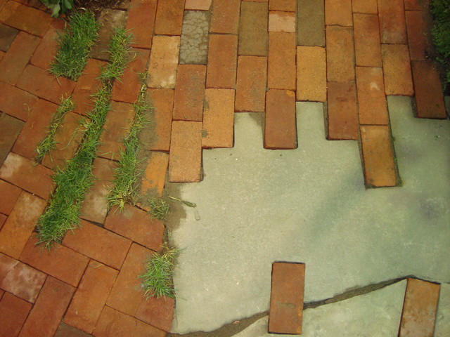 Landscape modern landscape