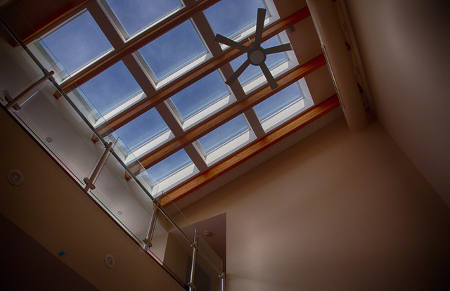 Auburndale Builders modern