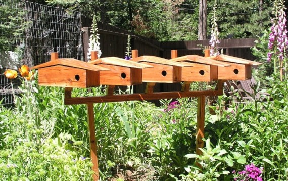 Bird Condo, Bird House or Bird Feeder Mounting Pole, Display Rack and 