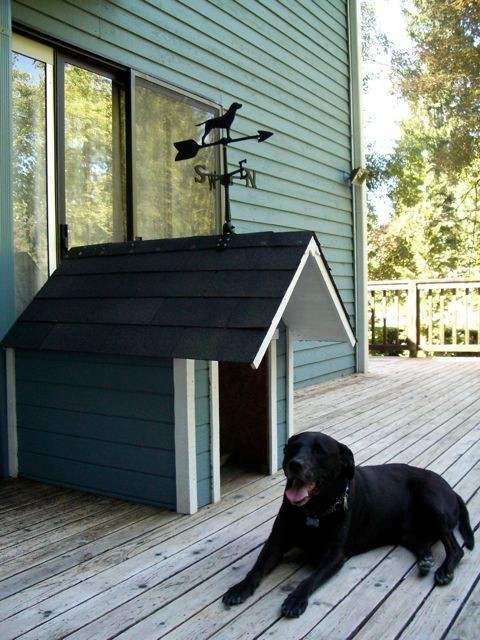 Ideas de Casas para Perros casa de perro azul igual que la casa de su dueño