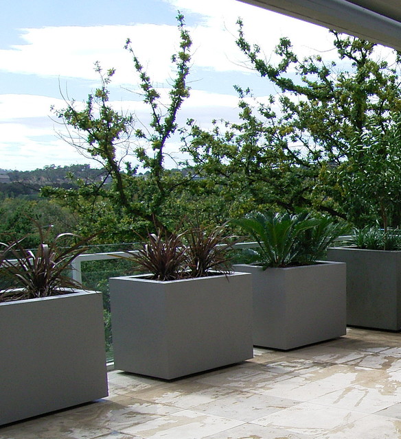 Planter boxes contemporary-outdoor-planters