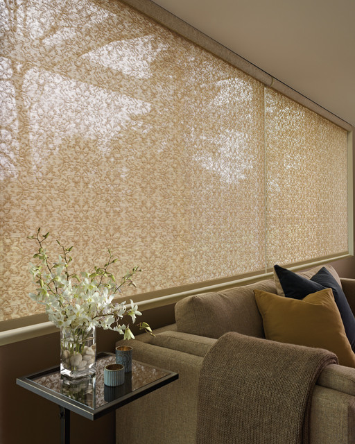 Hunter Douglas Traditional Cellular Shades chicago by Delaine Design, Inc.