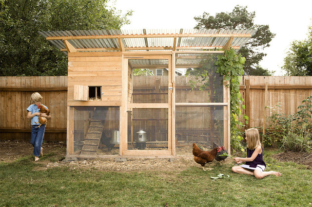 Walk-In Chicken Coop Plan by The Garden Coop contemporary-pet-supplies