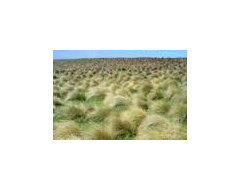 Difficult slope in backyard - design help