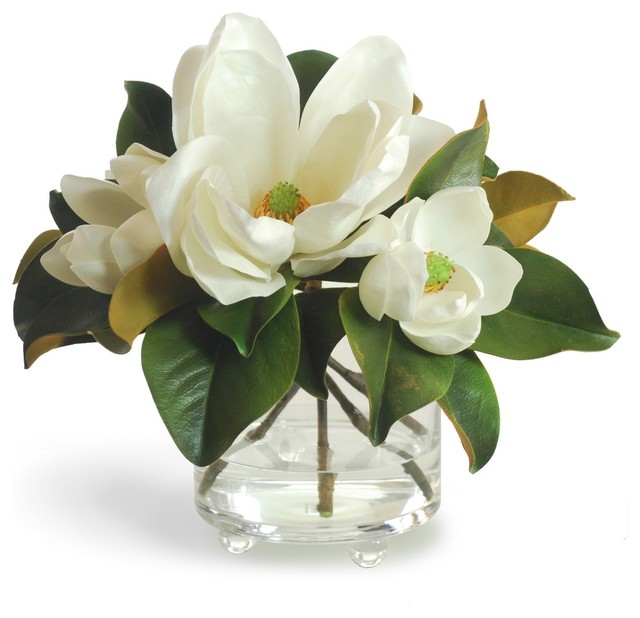 Timeless Magnolias in Footed Glass Vase 20" Contemporary Plants san francisco by Winward