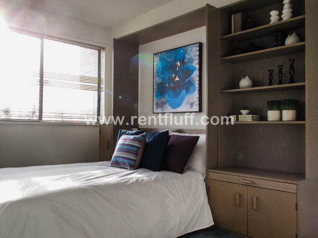 2507 - Staulo Crescent contemporary-bedroom