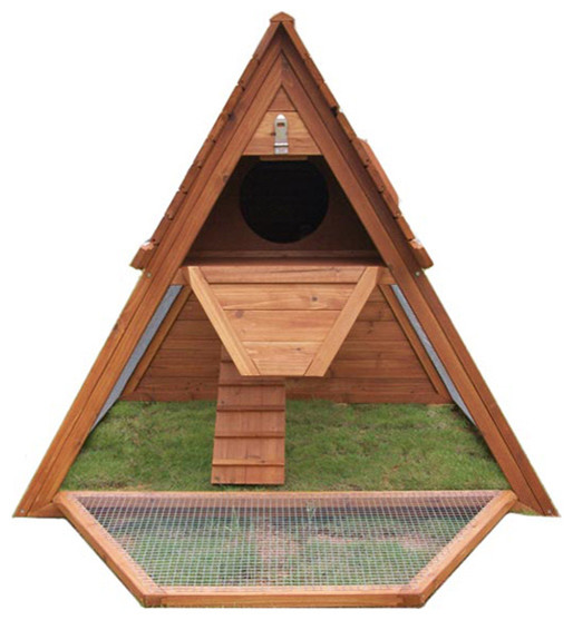 Portable Chicken Coop for 3 to 5 Hens - Modern - Birdhouses - other 
