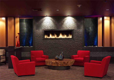 Dreifuss Fireplaces contemporary living room