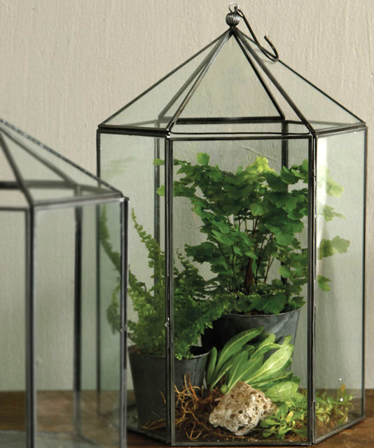 Pierre Hexagon Terrarium Large Transitional Terrariums by Bliss