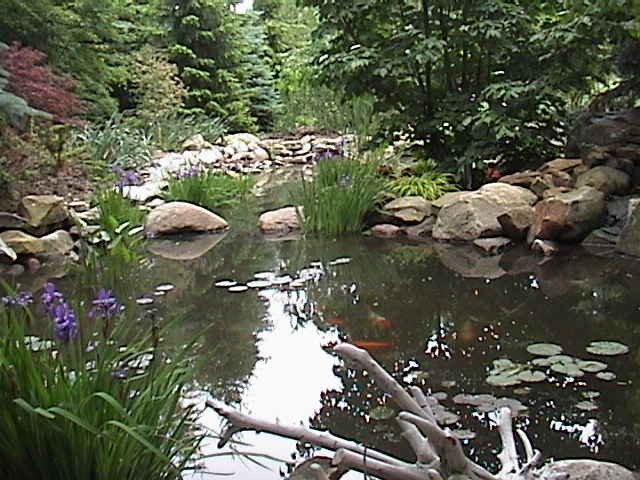 Patios Plantings Walkways Walls and Water traditional landscape