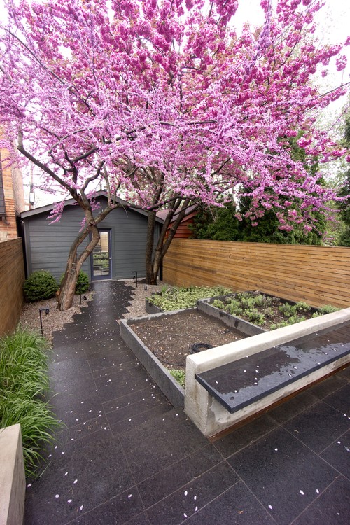 Awesome Small Backyard Ideas That Will Add Value to Your Home