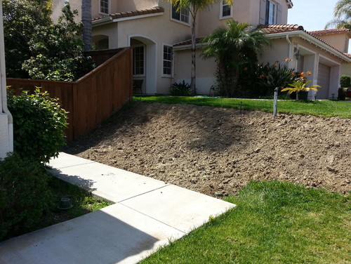 Need help landscaping small slope in front yard