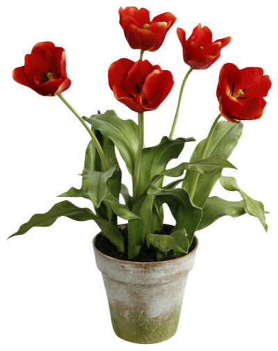 Tulips In Clay Pot, Red - Traditional - Artificial Flowers Plants And 