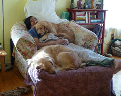 Dogs in Design