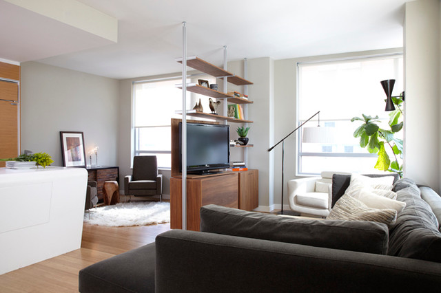 Naturally Modern Battery Park City Condo - modern - living room ...
