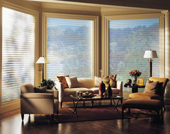 Hunter Douglas Silhouette® traditional-window-blinds