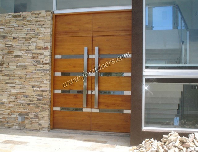Modern Style Front Doors | Interior Decorating and Home Design Ideas