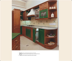 FEVICOL FURNITURE BOOK - Kitchen Designs