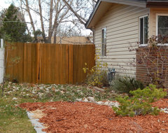 City says huge trees have to go. Need help with front yard.
