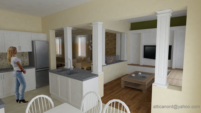 houzz questions - for rani16 contemporary-rendering